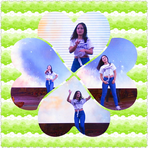 PP����(�й�)���Ź���