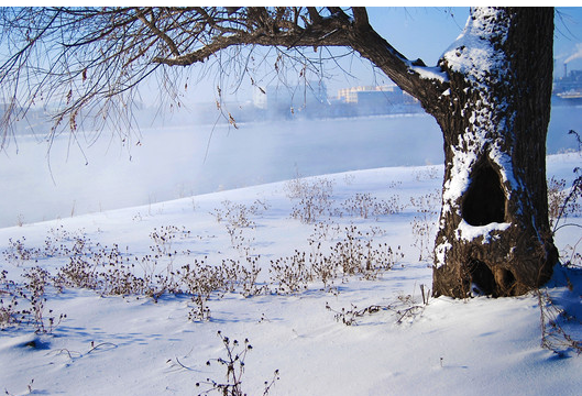 PP����(�й�)���Ź���