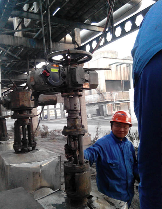 PP����(�й�)���Ź���