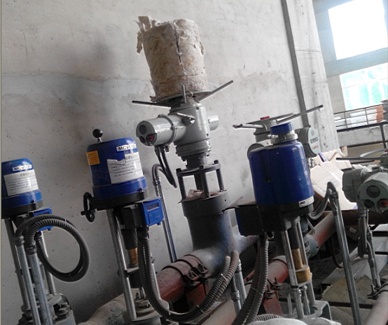 PP����(�й�)���Ź���