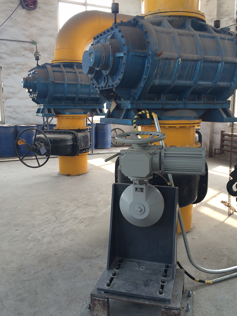 PP����(�й�)���Ź���