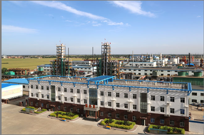 PP����(�й�)���Ź���