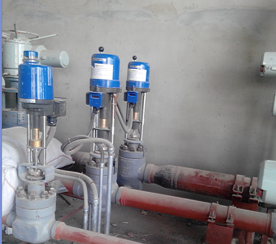 PP����(�й�)���Ź���