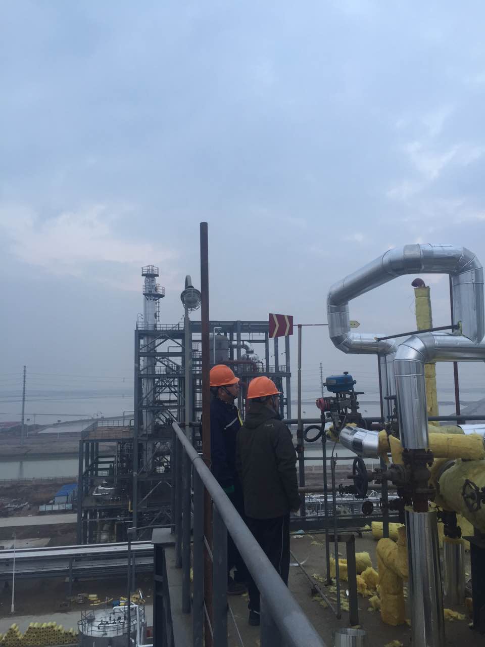 PP����(�й�)���Ź���