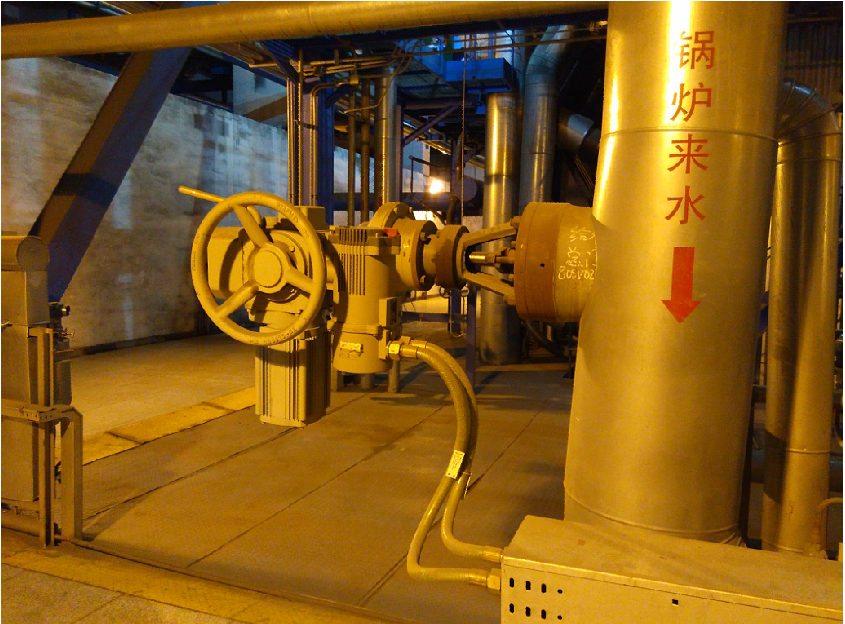 PP����(�й�)���Ź���