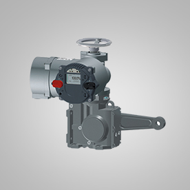 PP����(�й�)���Ź���