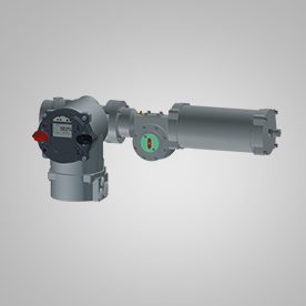 PP����(�й�)���Ź���