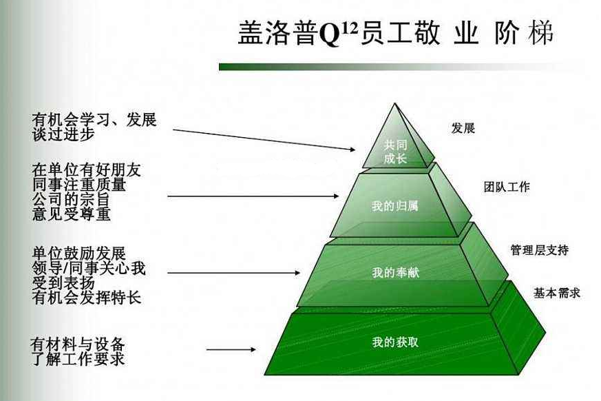 PP����(�й�)���Ź���