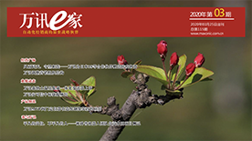 PP����(�й�)���Ź���