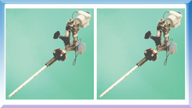 PP����(�й�)���Ź���