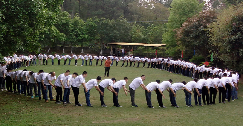 PP����(�й�)���Ź���