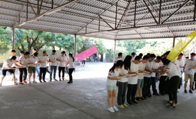 PP����(�й�)���Ź���