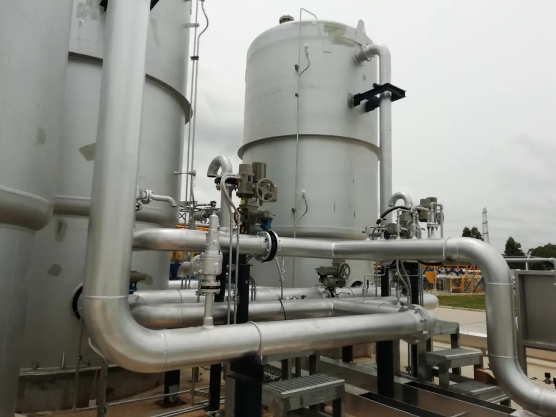 PP����(�й�)���Ź���