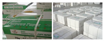 PP����(�й�)���Ź���