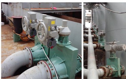 PP����(�й�)���Ź���