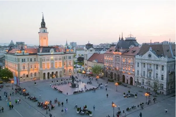 PP����(�й�)���Ź���