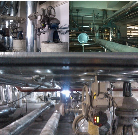 PP����(�й�)���Ź���